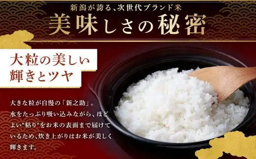 【新米受付・令和8年産米】新潟県村上市岩船産 新之助10kg（5kg×2袋）1099011N