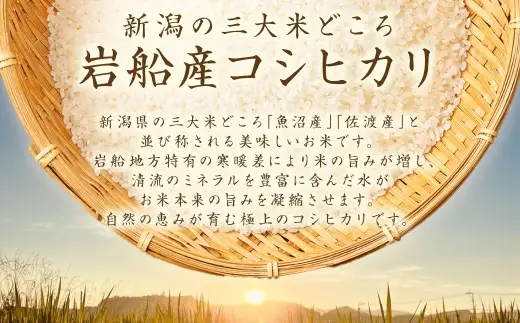 【新米受付・令和8年産米】新潟県村上市岩船産 コシヒカリ15kg（5kg×3袋）1099015N