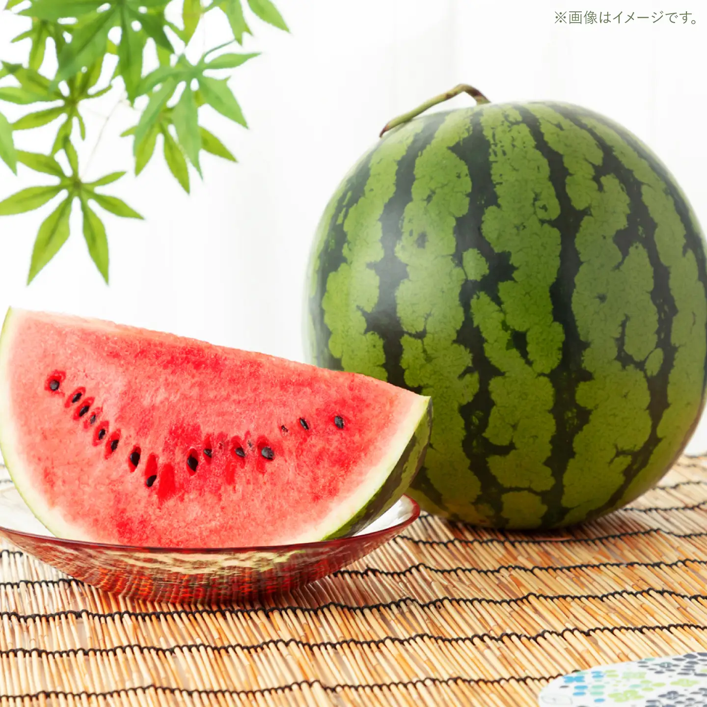 羅皇ザ・スウィート 1玉（L～2L）約7kg ＜AgriBaseさいかい＞[CGV005]