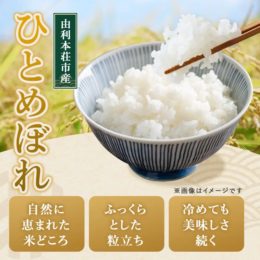 《2週間毎お届け》【定期便3回】ひとめぼれ【無洗米】10kg（5kg×2袋）令和7年産 特別栽培米 秋田県産