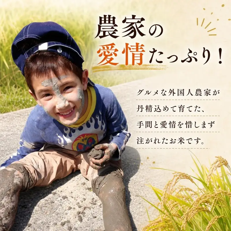ひのひかり 玄米 10kg 2025年産［1120-5］