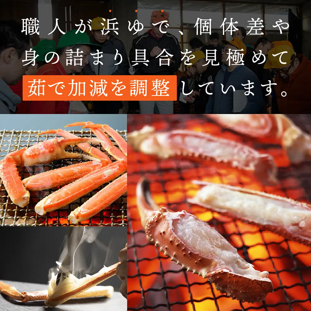 【2026年11月発送】特撰　松葉がに（茹）【ブランドタグ付き】1kg超の大きいサイズ　食べ応えあり　特大1杯【期間限定】_T2600467
