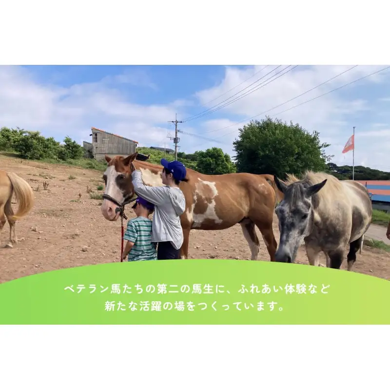 【返礼品なし】引退馬・仔馬の飼育支援 10,000円【カナディアンキャンプ乗馬クラブ】_HA2056 馬 仔馬 飼育支援 牧場 福岡県宗像市 宗像市 福岡 宗像