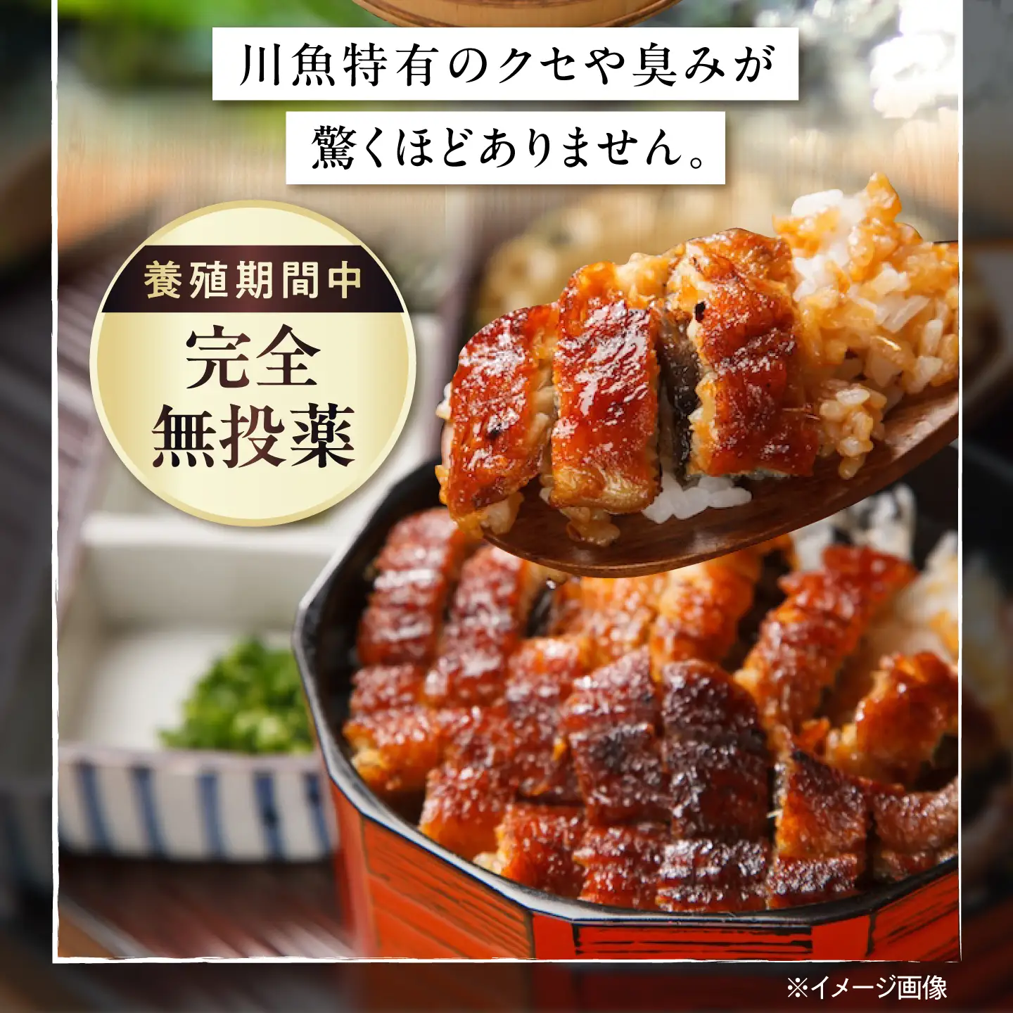 【全12回定期便】鰻 鰻の蒲焼5尾×白焼5尾 紅白セット / 美陵鰻 鰻 うなぎ ウナギ 蒲焼 蒲焼き かば焼き かばやき 白焼き 白焼 しろやき しらやき 特大 肉厚 うな重 うな丼 ひつまぶし 惣菜 おかず タレ 山椒 国産 土用 丑の日 ギフト/ 大阪府藤井寺市/Giverichホールディングス株式会社[BLAM042]