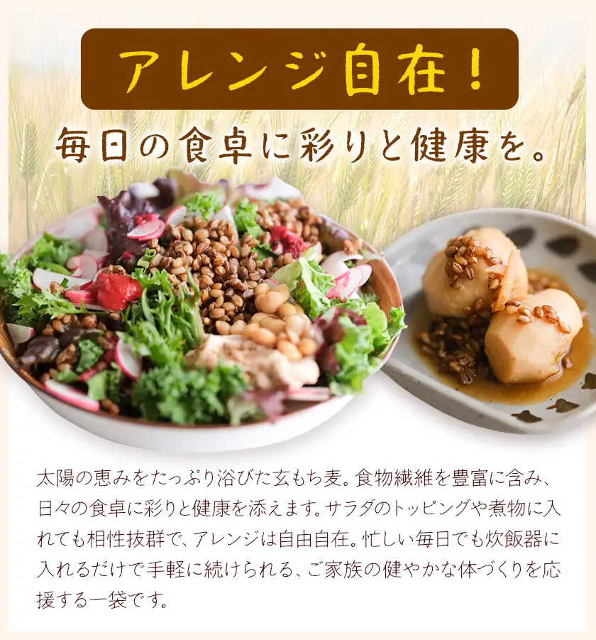 もち麦 玄もち麦 500g(250g×2) 自然野菜のら
