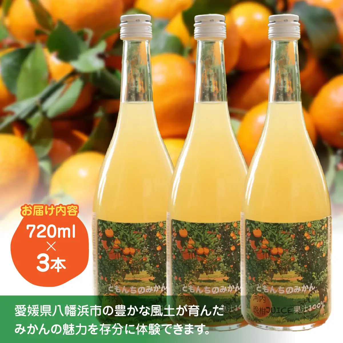 河内晩柑100%ジュース720ml×３【91-4】 YWTB003