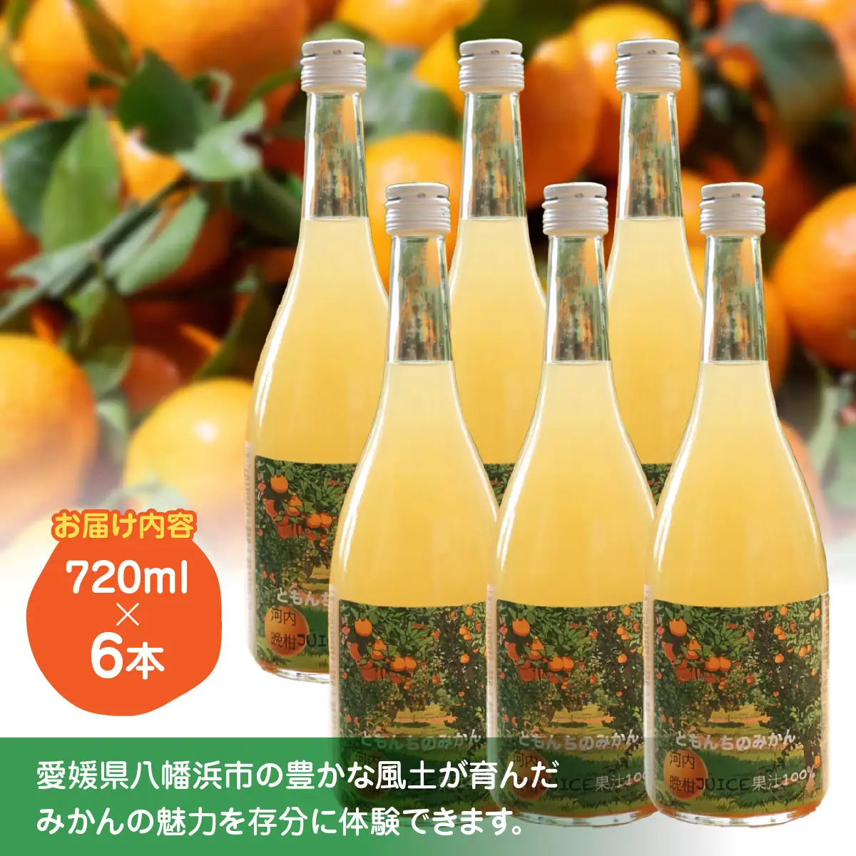 河内晩柑100%ジュース720ml×６【91-3】 YWTB004