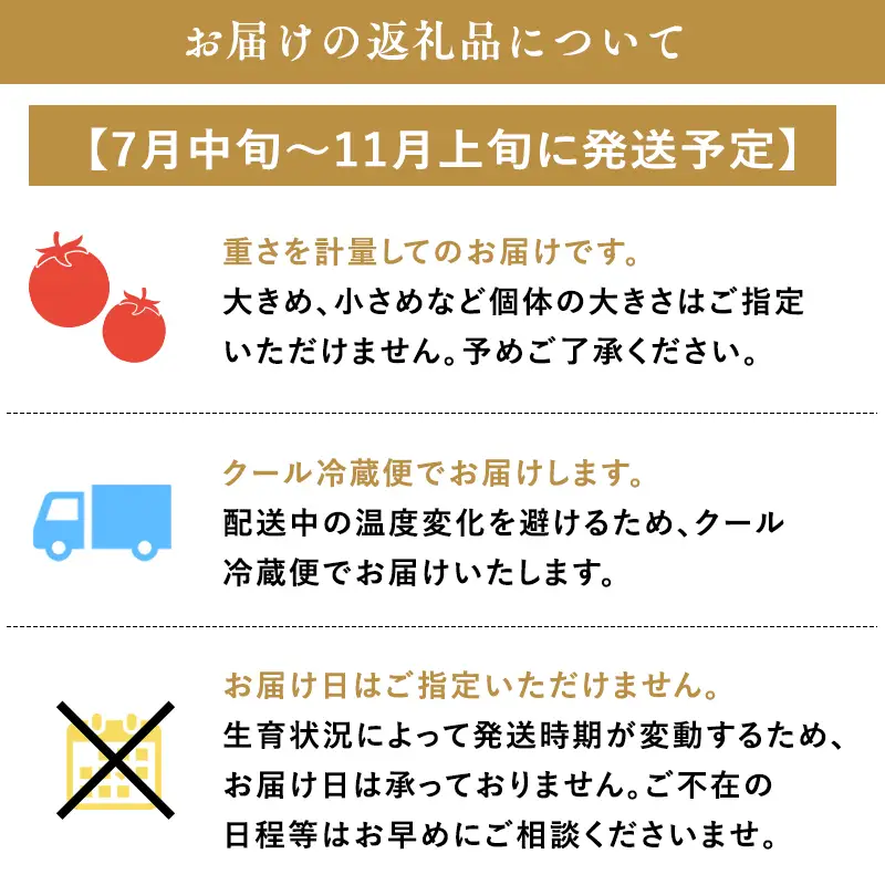 ミニトマト 6kg  サマーチカ
