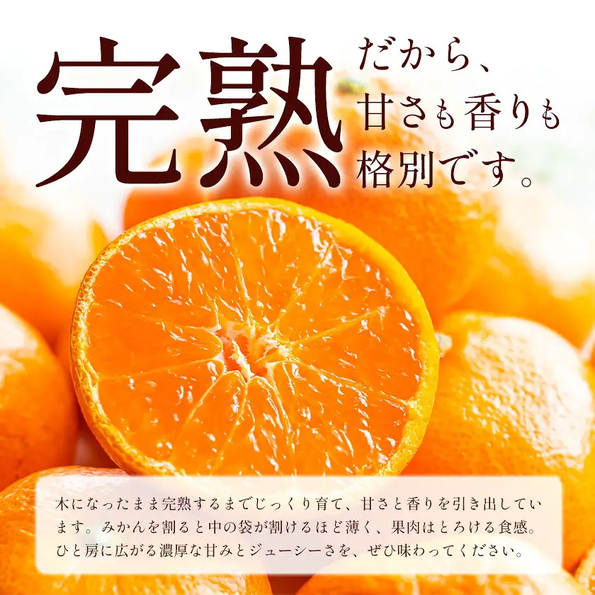 温州みかん 10kg 訳あり品 亀井農園 みかん