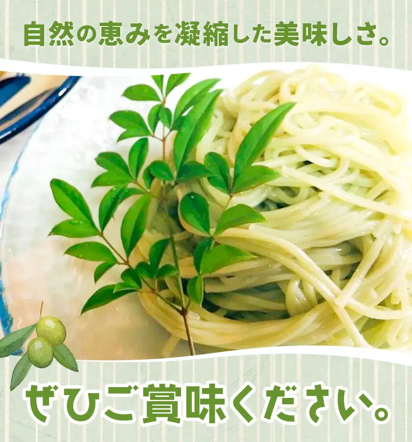 オリーブ 茶 そうめん 10袋 セット 福田さん家のオリーブ園。