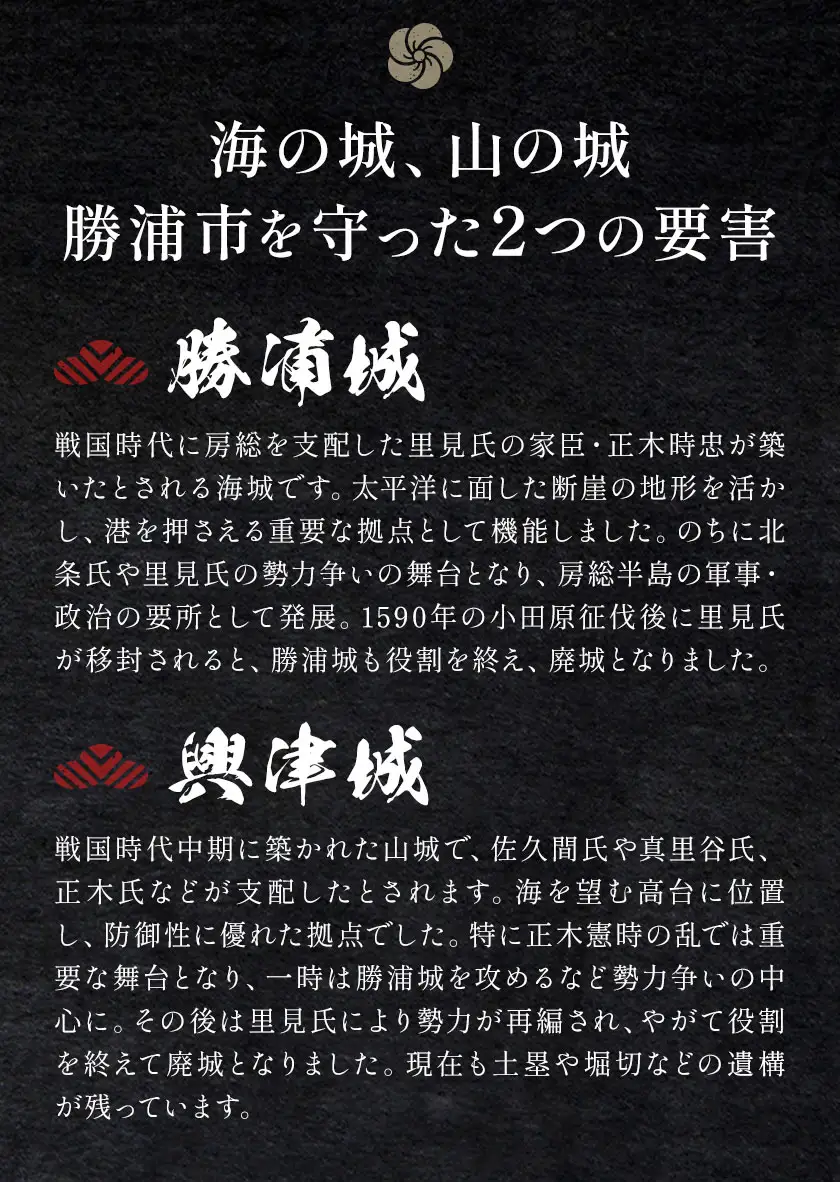 御城印 勝浦城 興津城 2枚セット 一般社団法人勝浦市観光協会《30日以内に出荷予定(土日祝除く)》千葉県 勝浦市 歴史 コレクター 雑貨 城