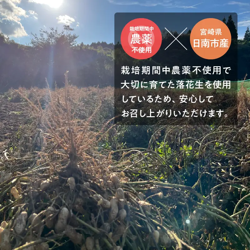 先行予約 日南市産 『ピーナッツバター(チャンク)』 120g×1個_AAV14-26