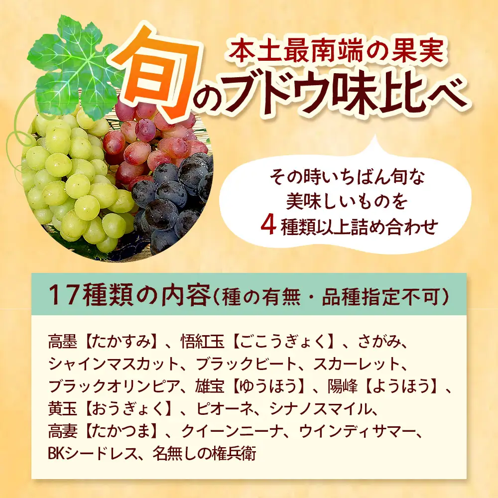 【期間限定!数量限定!】2026年7月下旬発送 旬のブドウ味くらべ約3kg (6～7房) TE710｜産地直送 旬 ブドウ 葡萄 ぶどう フルーツ 果物 くだもの 果実 食べ比べ 鹿児島県 南大隅町 有限会社ティエラ　