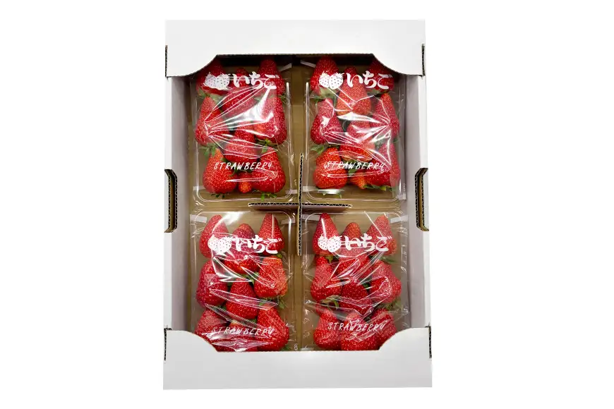 平戸産 いちご フルーツ 約260g 4パック 計約1040g