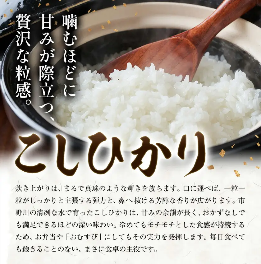 令和7年産 いちの川 コシヒカリ 白米 10kg 市野川米製作所