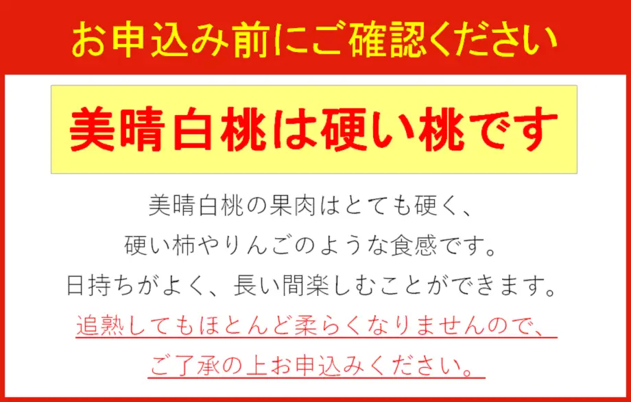 硬い !! もも 美晴白桃 3kg 山形 桃