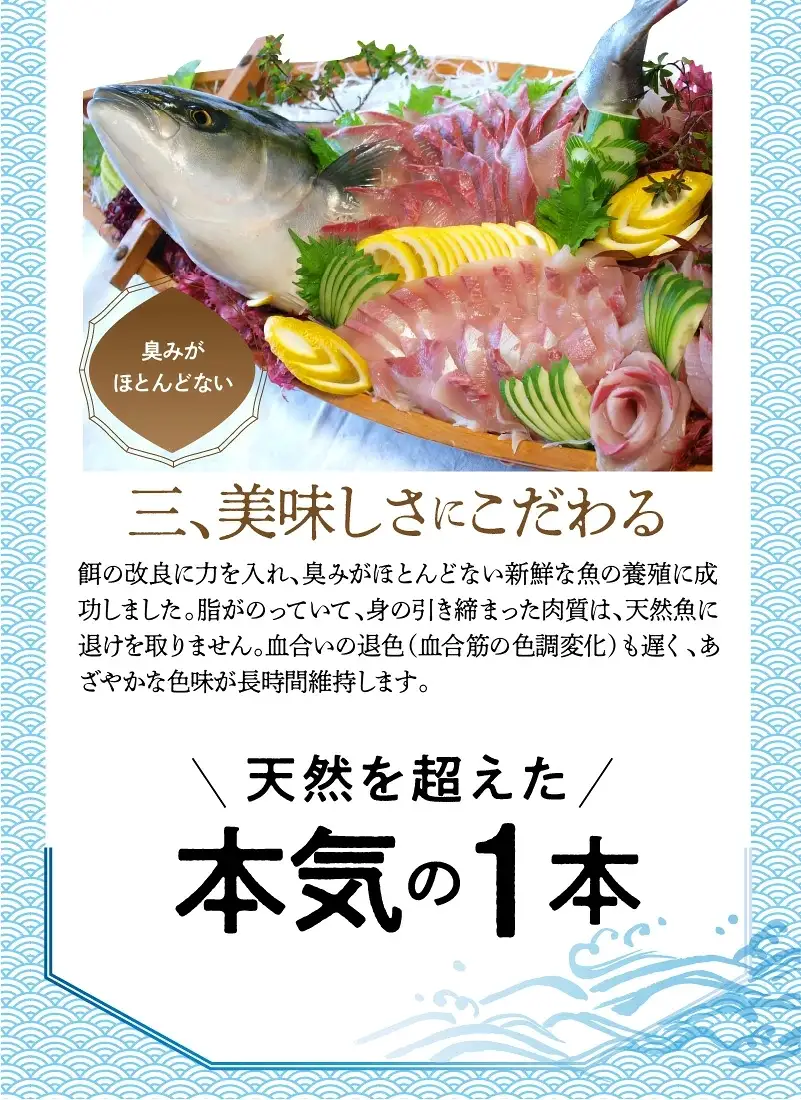 まるごと一本！大和ブリ 原魚約5kg N072-YC816
