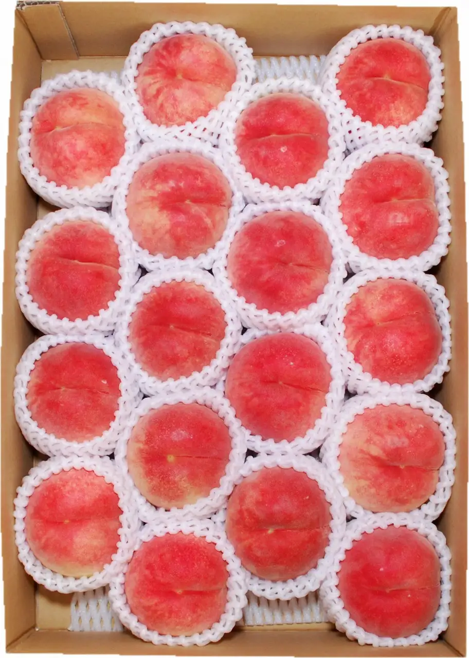 もも 9月 旬 の 白桃 5kg 山形 桃