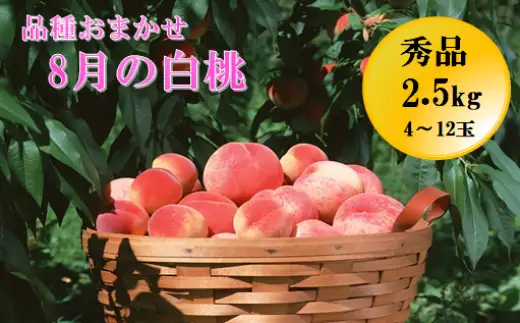 もも 8月 の 白桃 2.5kg 品種おまかせ 山形 桃