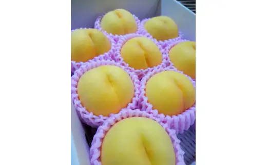 もも ( 金桃 ・ 黄貴妃 ) 3kg 山形 桃