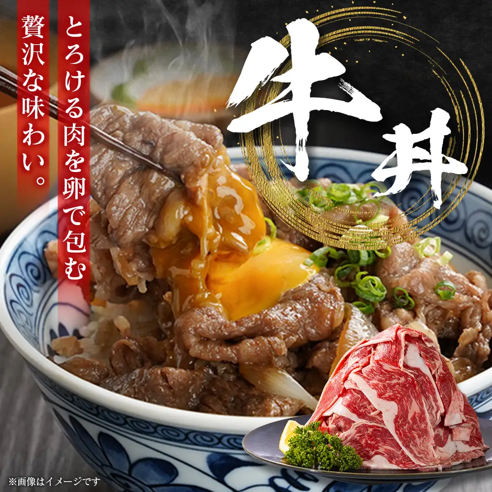 8月配送 訳あり 宮崎県産 黒毛和牛 切り落とし（スライス）計500g 肉 A351-S-08