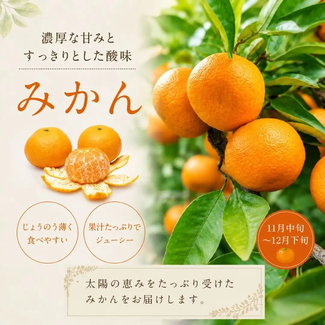 旬の特選フルーツ定期便 全3回 | フルーツ