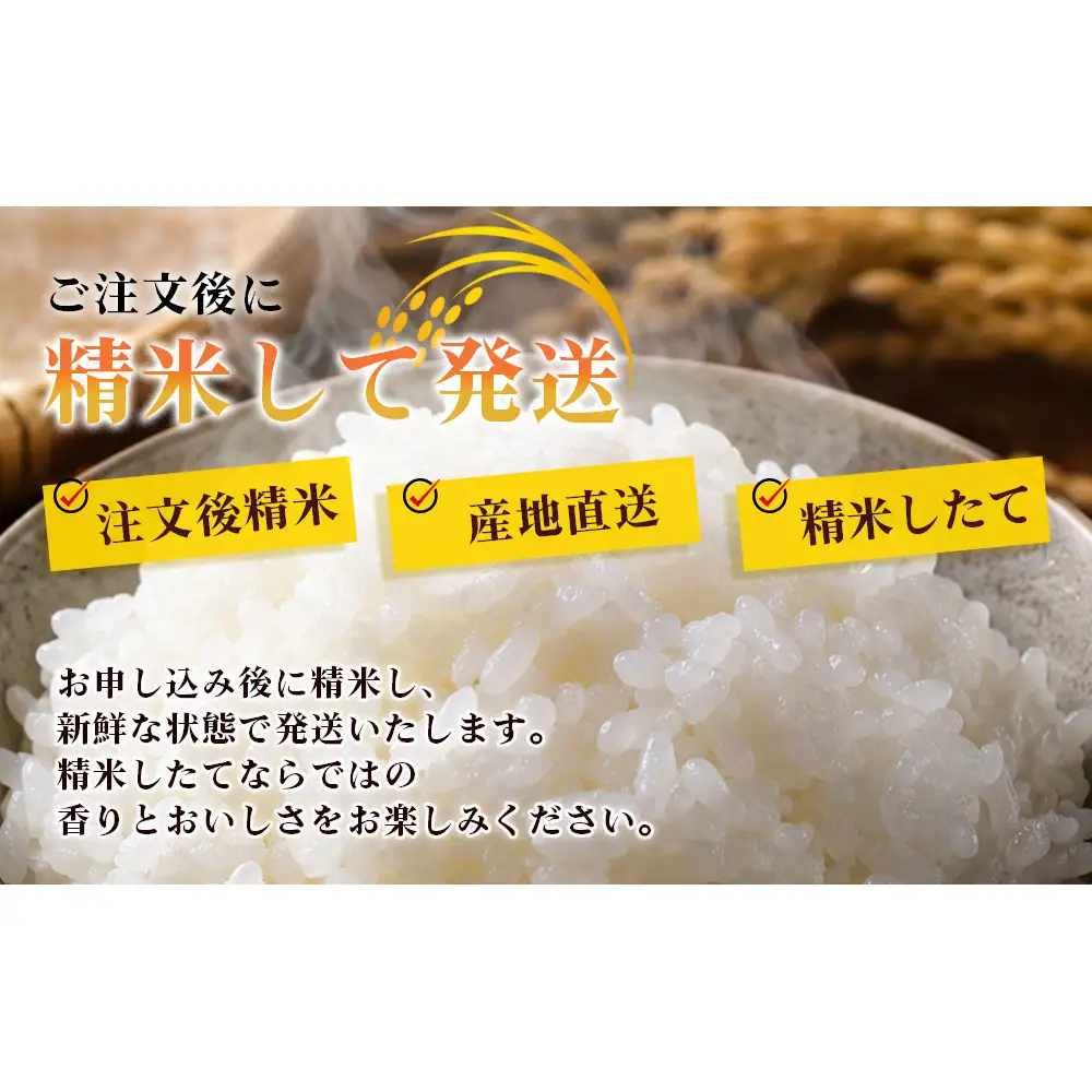 【先行予約】R8年度産 新米こしひかり白米4.5kg