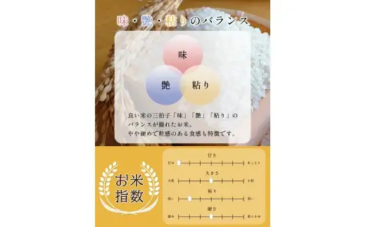 【新米受付・令和8年産米】【定期便】自然豊かな風土が育んだ新潟県村上市岩船産コシヒカリ50kg（5kg×10ヶ月）1017003N