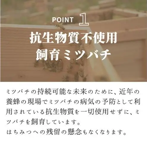 養紡屋（ようほうや）国産はちみつ 3種セット はぜのき蜂蜜 みかん蜂蜜 百花蜜 各50g×3個 はちみつ 蜂蜜 ハチミツ はぜのき蜂蜜 みかん蜂蜜 百花蜜 非加熱 花の香り 静岡 浜松市