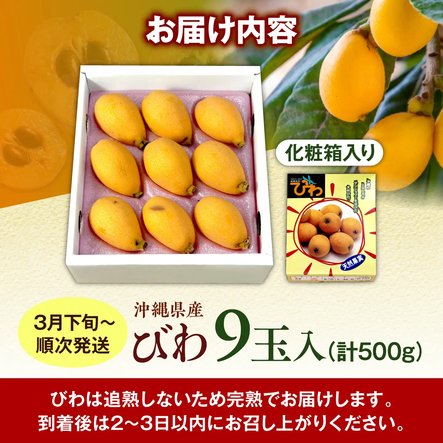 【2027年発送・先行受付】 【化粧箱入り】 沖縄産びわ (500g・9玉入り) フルーツ 果物 ギフト お取り寄せ 沖縄産 沖縄市 / ちゃんぷる～市場[BCAA008]