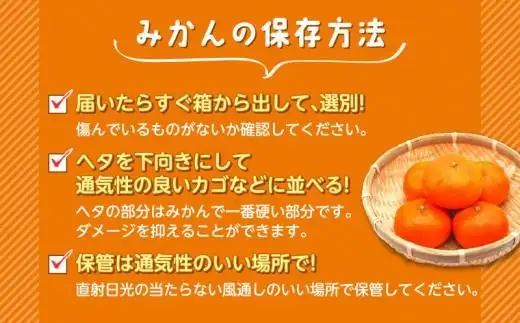 由良 みかん 3kg 【贈答用】 みかん 沼津 静岡