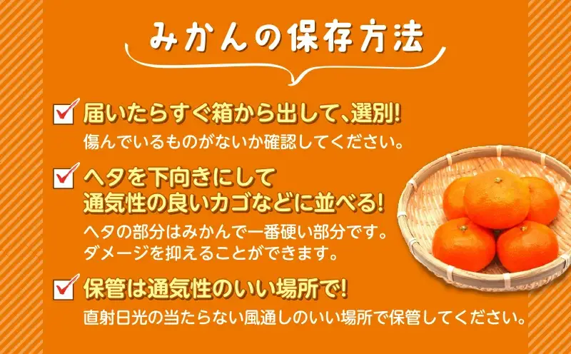 青島 みかん 3kg 【贈答用】 みかん 沼津 静岡