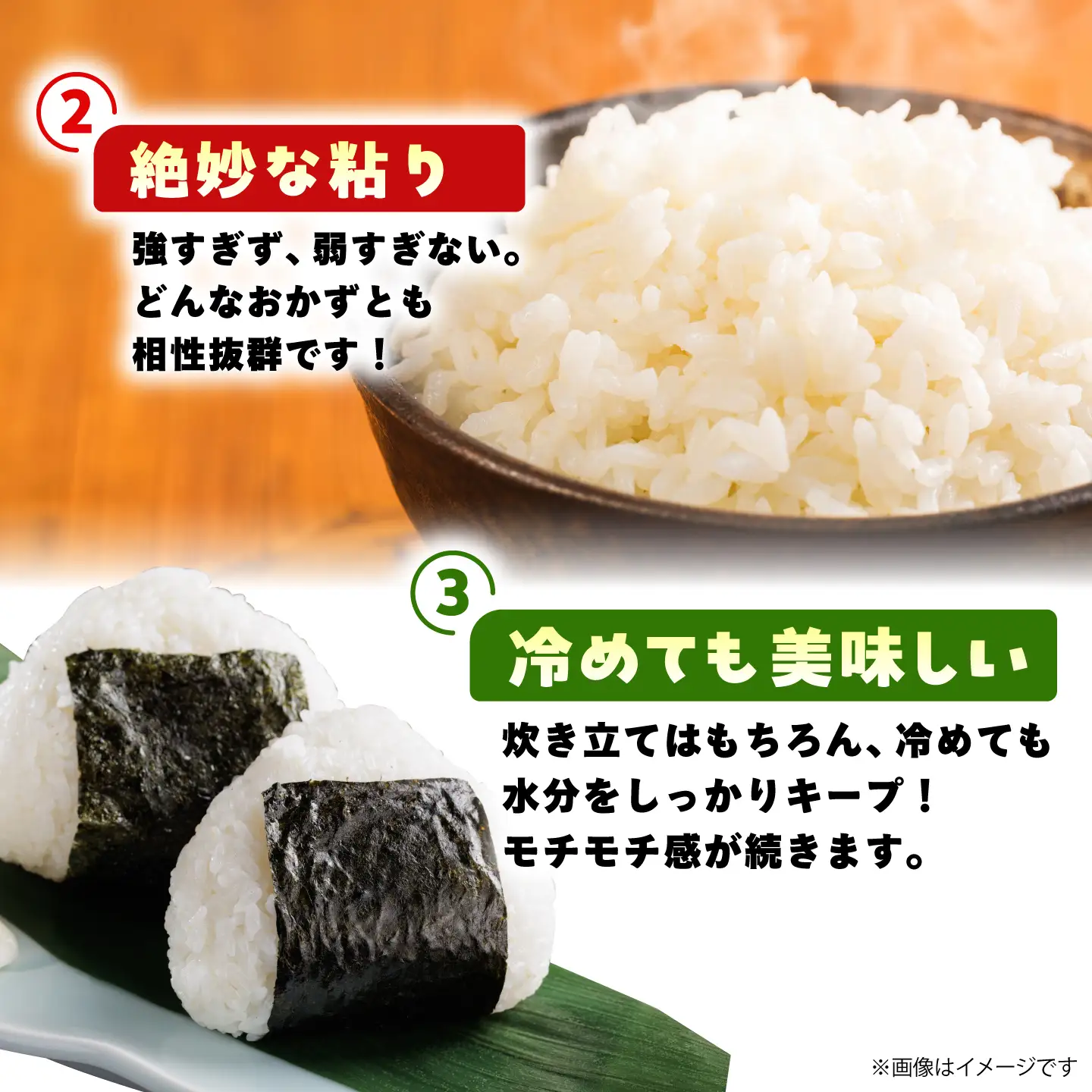 【先行予約】 令和8年産 夢しずく 精米 5kg 【佐賀県江北町産】 米 白米[HAF033]