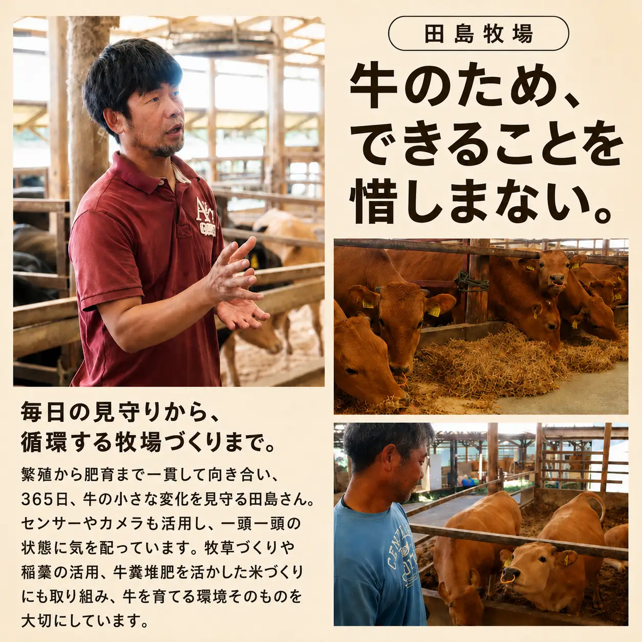 土佐あかうし バラカルビ 焼肉用 400g | 赤牛 あか牛 希少 ギフト 冷凍 贈答 高知県 南国市
