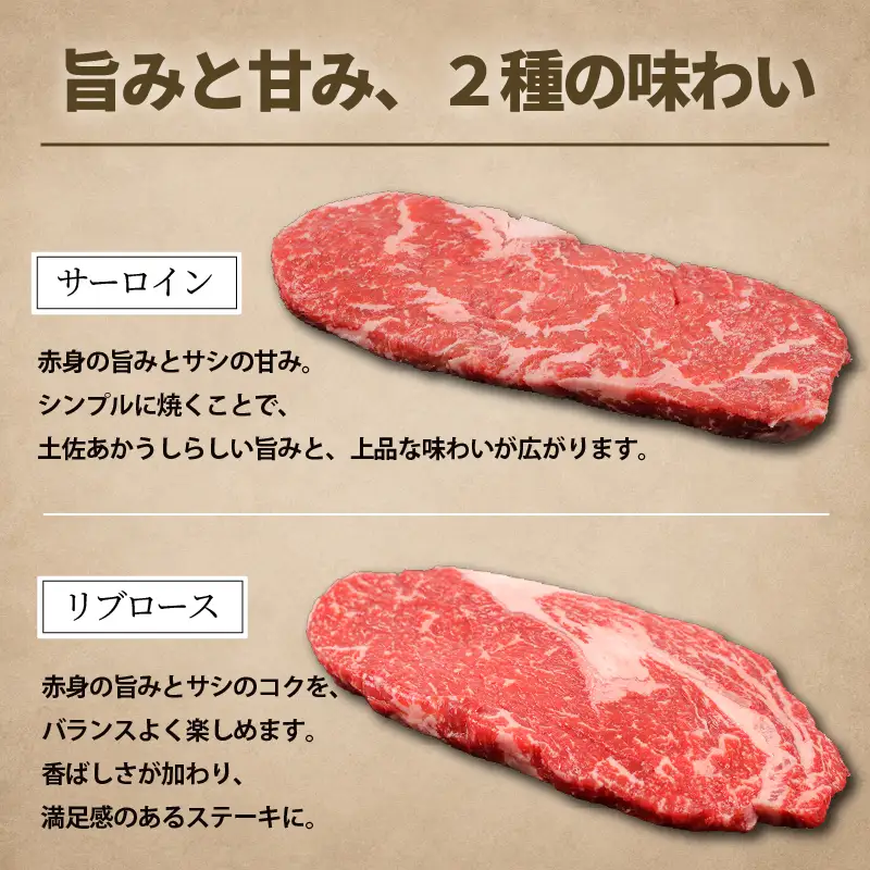 土佐あかうし ロース ステーキ 2種食べ比べ Bセット 計400g | 赤牛 あか牛 希少 ギフト 冷凍 贈答 高知県 南国市