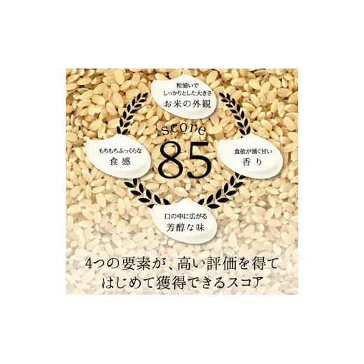 富山県ブランド米 富富富 無洗米 24kg ふふふ ブランド米 国産 米 お米 日本米 ギフト 贈り物 備蓄 防災 食品 陽咲玲 はるざれ F6T-1019