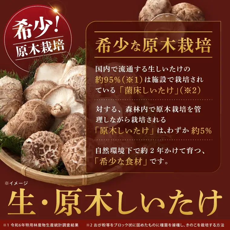【10月下旬～3月下旬発送】茨城県水戸産 ジャンボ原木しいたけ 4個×2袋【生しいたけ 椎茸 シイタケ きのこ キノコ にく丸 希少 栄養豊富 水戸市 茨城県】（OD-1）