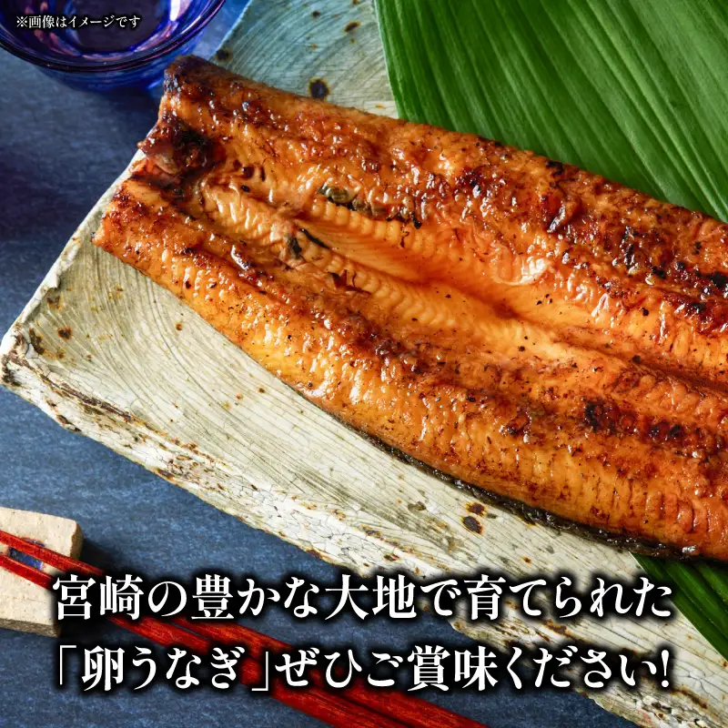 うなぎ 蒲焼 3尾 うなぎ[鰻 卵うなぎ 備長炭 計450g]