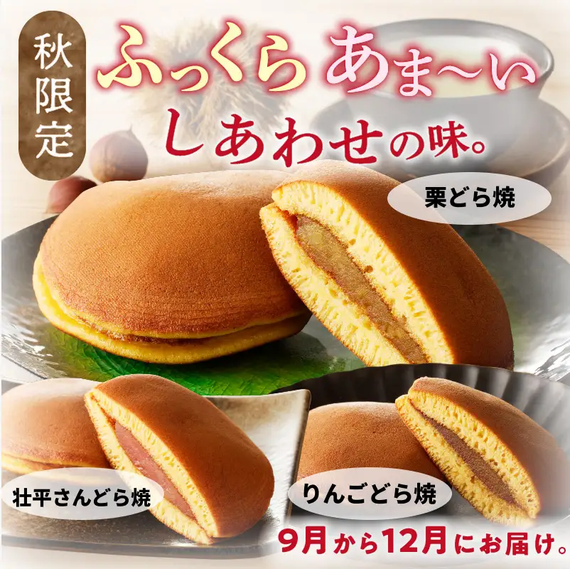 【訳あり】どら焼き 季節のセット（簡易包装） 訳あり どら焼き 季節のセット 簡易包装 春セット 夏セット 秋セット いずれか お届け 旬の味 セット お菓子 和菓子 茶菓子 スイーツ お取り寄せ お取り寄せスイーツ ゑびす屋商店 愛知県 小牧市 送料無料 ［009B24］