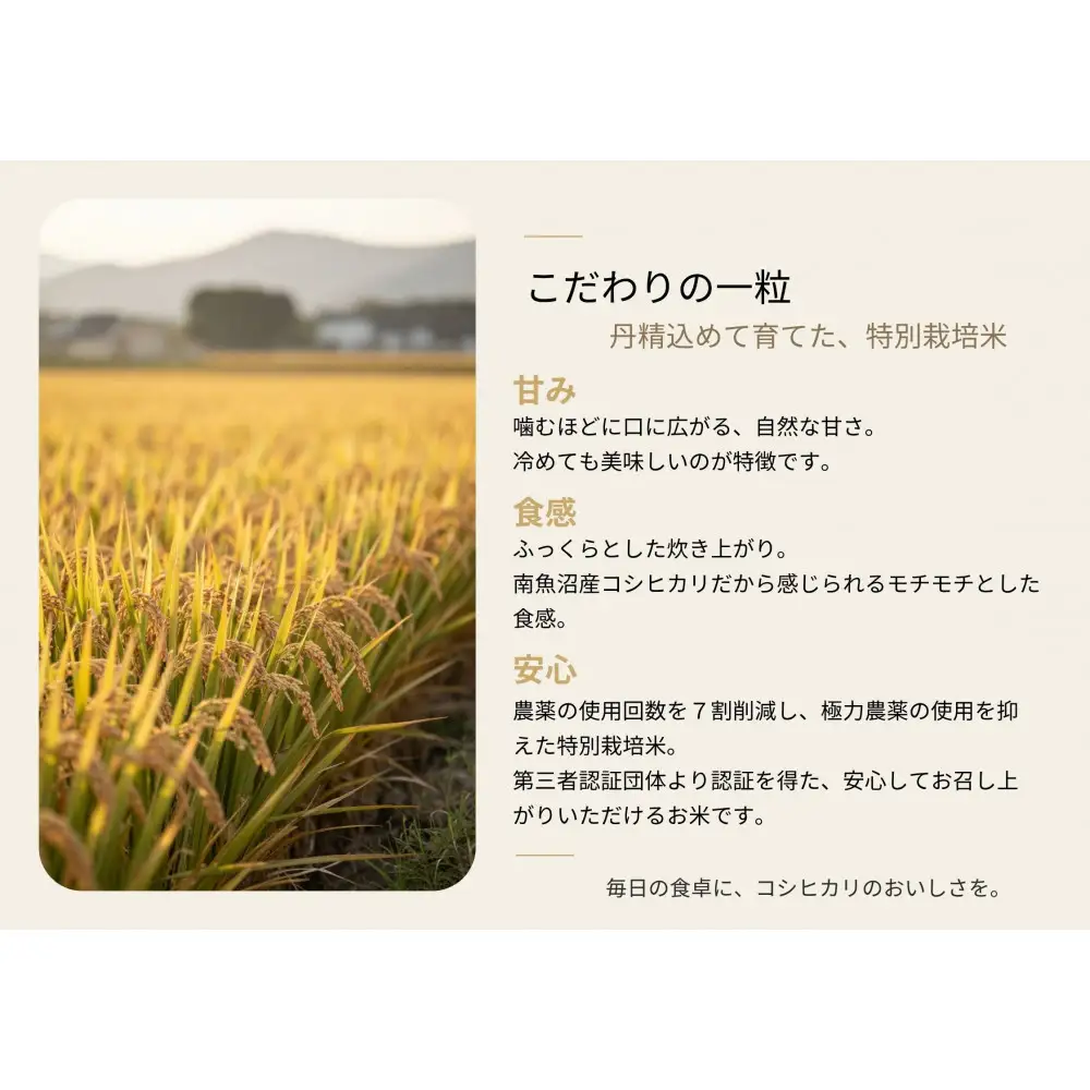 【令和8年産新米予約】 南魚沼産コシヒカリ特別栽培米 白米 10kg(5kg×2)【2026年9月下旬より1ヶ月以内に順次発送予定】