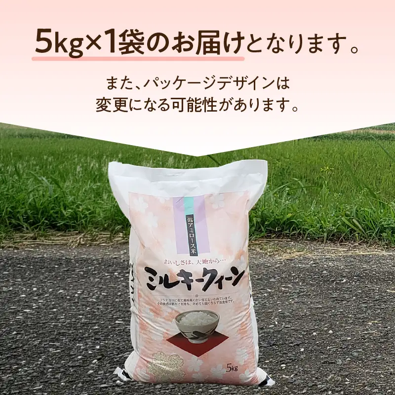 令和8年産 ミルキークイーン 5kg お米 白米 精米
