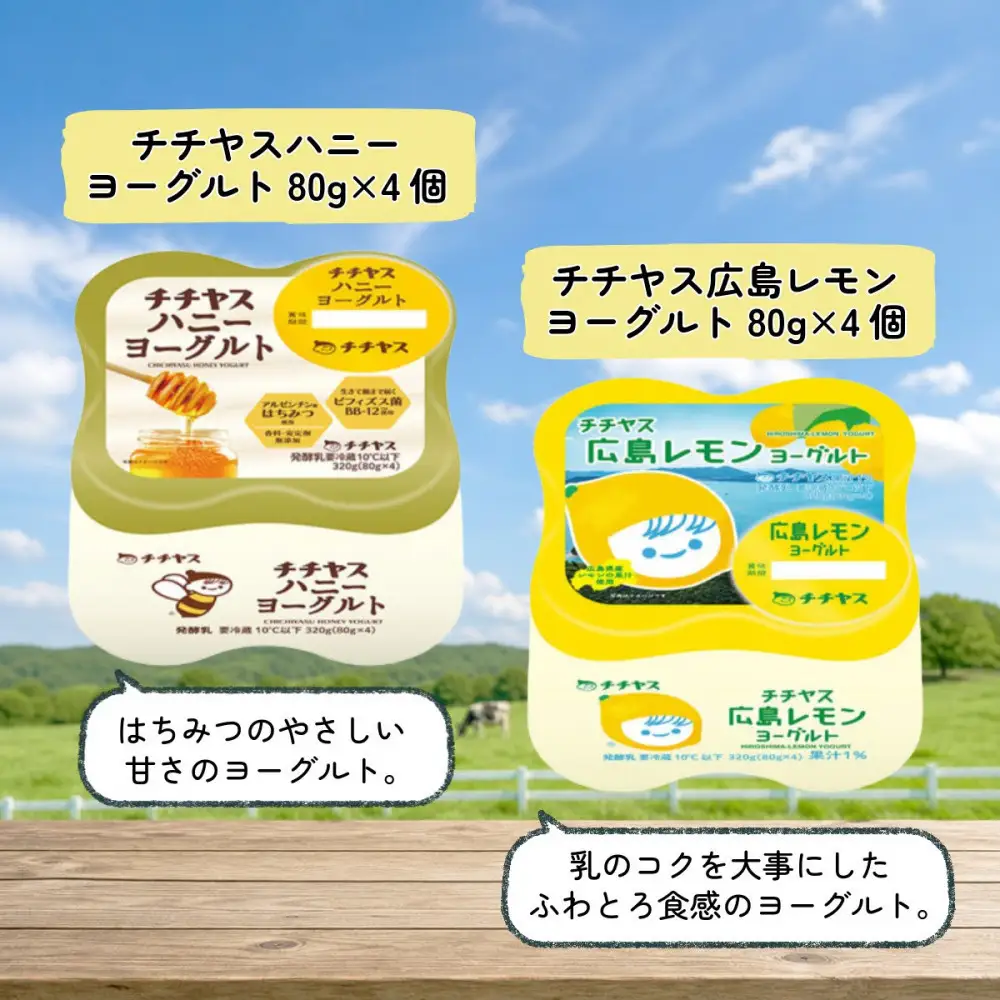 チチヤス 定番ヨーグルト4種食べ比べセット[計40個] A