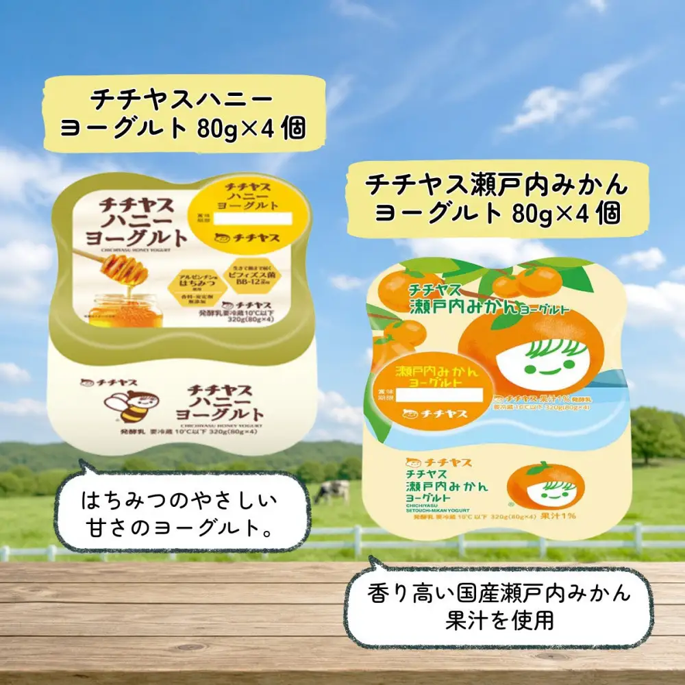 チチヤス 定番ヨーグルト4種食べ比べセット[計40個] B