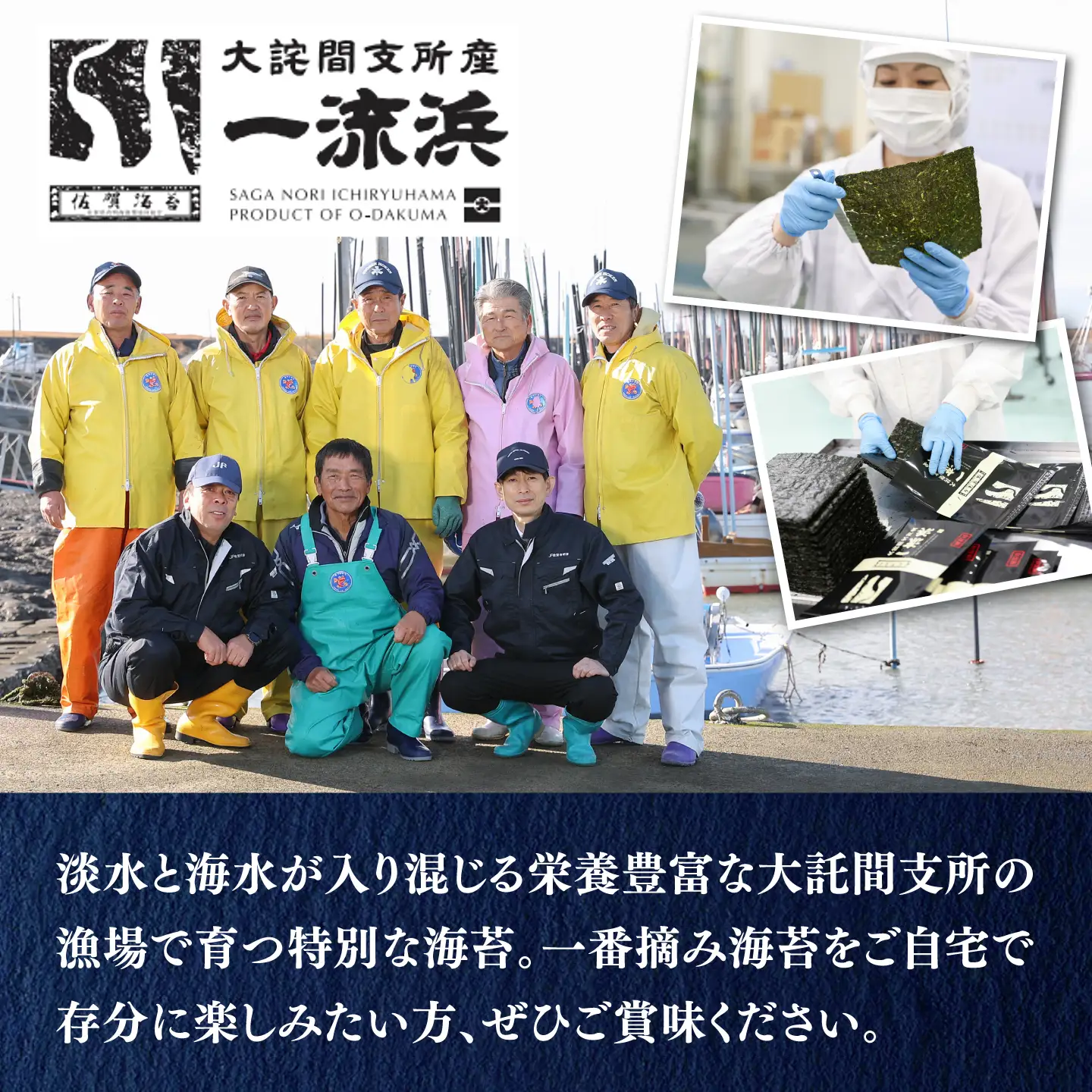 佐賀海苔 一流浜 一番摘み「無選別品」4切15枚×2袋 / 海苔 のり 手巻き / 佐賀県 / 佐賀海苔一流浜 [41AABJ007]