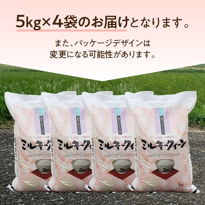令和8年産 ミルキークイーン 20kg お米 白米 精米
