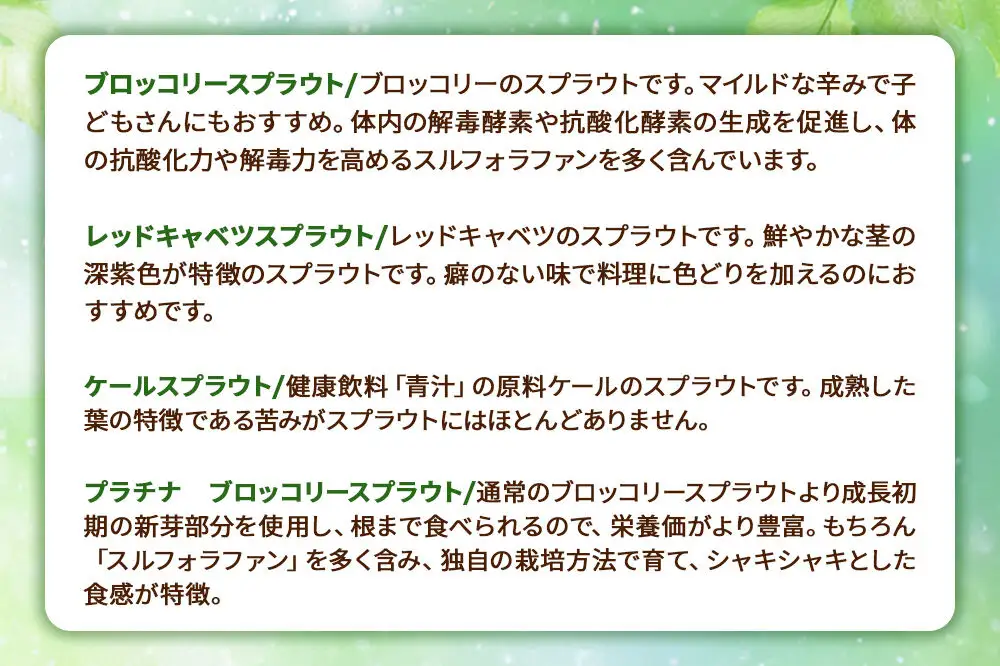 スプラウト 5種 詰め合わせ 計11個【白神山系　超軟水仕込み】栄養満点 