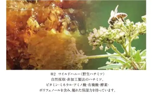 ワイルドハニー配合　上善如水オールインワンジェル【地場産品】