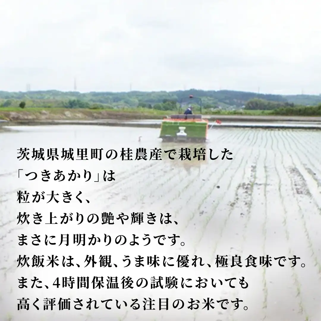 【 3ヵ月定期便 】つきあかり 10kg ×3回 令和7年 精米 産地直送 茨城県 城里町 (AX075)