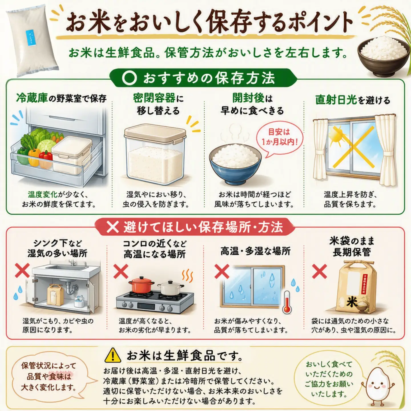 【先行予約・9月より順次配送】令和8年産 千葉県産 コシヒカリ 精米20kg mt207671_012001