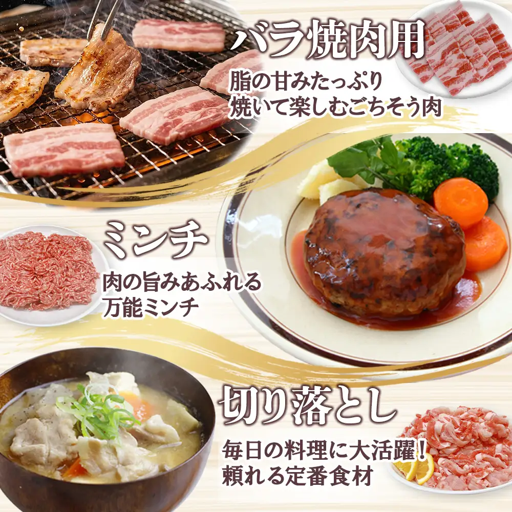 宮崎県産 豚肉 桜印ポーク5種セット (ローススライス / ロースまたは肩ロースカツ / バラ焼肉 / 切り落とし / ミンチ) 合計3kg 小分け 冷凍 国産 送料無料 九州産 肉 お肉 豚 詰め合わせ